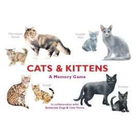 Cats & Kittens: A Memory Game