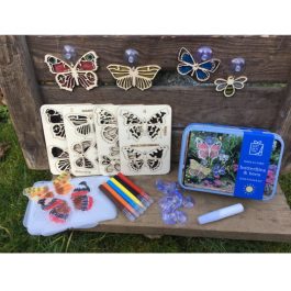 Gift In A Tin Butterflies & Bees Suncatcher Kit