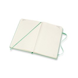 Moleskine 2022 Daily 12 Month Large Diary Ice Green Hard Cover