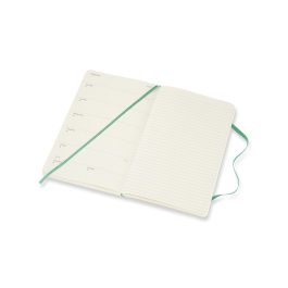 Moleskine 2022 Weekly 12 Month Large Diary Ice Green Soft Cover