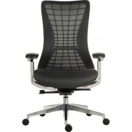 Teknik Quantum Executive Mesh Black Chair