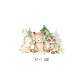 Peter Pauper Press Thank You Note Cards Baby