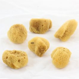 Royal Brush Small Silk Sponges Pack 6
