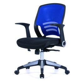 The Graphite Designer Medium Mesh Back Task Chair Blue