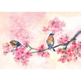 Peter Pauper Press Note Cards Cherry Blossoms in Spring