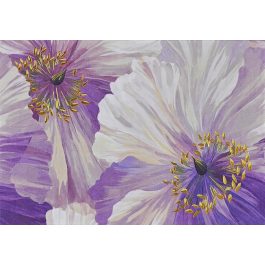 Peter Pauper Press Note Cards Poppies in Bloom