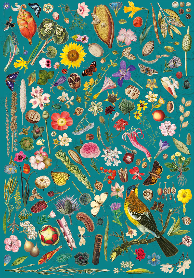 Gibsons Jigsaw RHS Floral Fantasy 500 Piece Gift Puzzle - Image 2