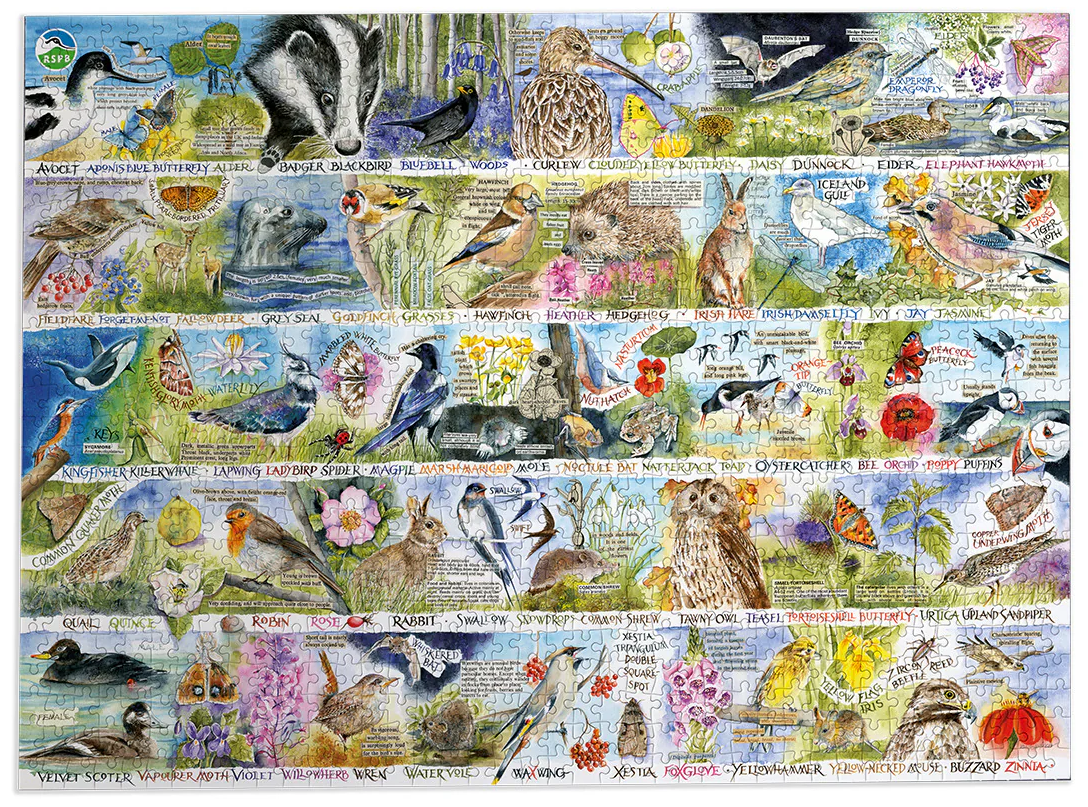 Gibsons Jigsaw RSPB Birdsong & Bluebells 1000 Piece Puzzle - Image 2