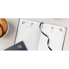 Letts Standard Diary Range 2026