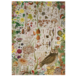 Gibsons Jigsaw RHS Fall Flora 1000 Piece Puzzle