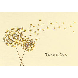 Peter Pauper Press Thank You Note Cards Dandelion Wishes