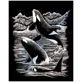 Royal & Langnickel Silver Foil 8 x 10 Orca Whales