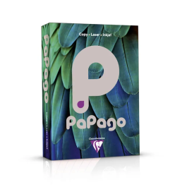Papago Steel Grey A4 Copier Card 160 gsm Pk 250