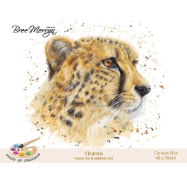 Bree Merryn Paint By Numbers – Chance