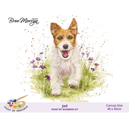 Bree Merryn Paint By Numbers – Jed