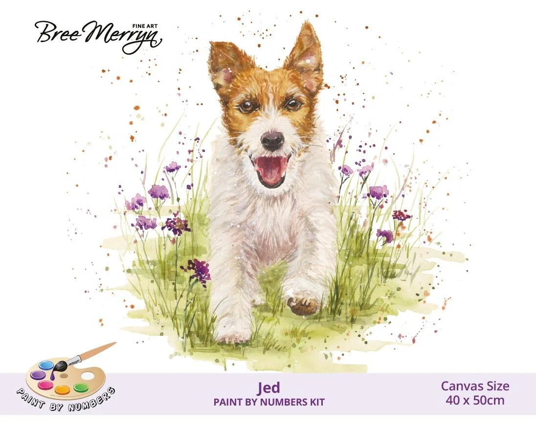 Bree Merryn Paint By Numbers - Jed