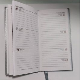 2027 Slim Diaries Week To View