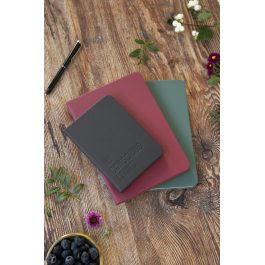 Letts 2027 Conscious Evergreen Diary Week to View