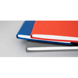 Letts 2027 Principal Diary Range