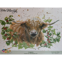 Bree Merryn Paint By Numbers Christmas – Logan