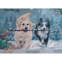 Bree Merryn Paint By Numbers Christmas – Salt & Pepper