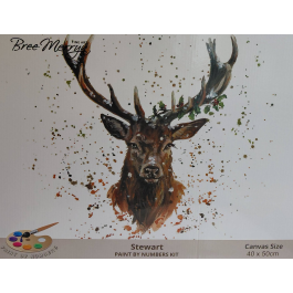 Bree Merryn Paint By Numbers Christmas – Stewart