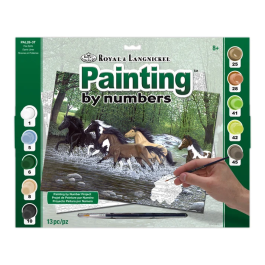 Royal & Langnickel Painting by Numbers Adult Free Spirits