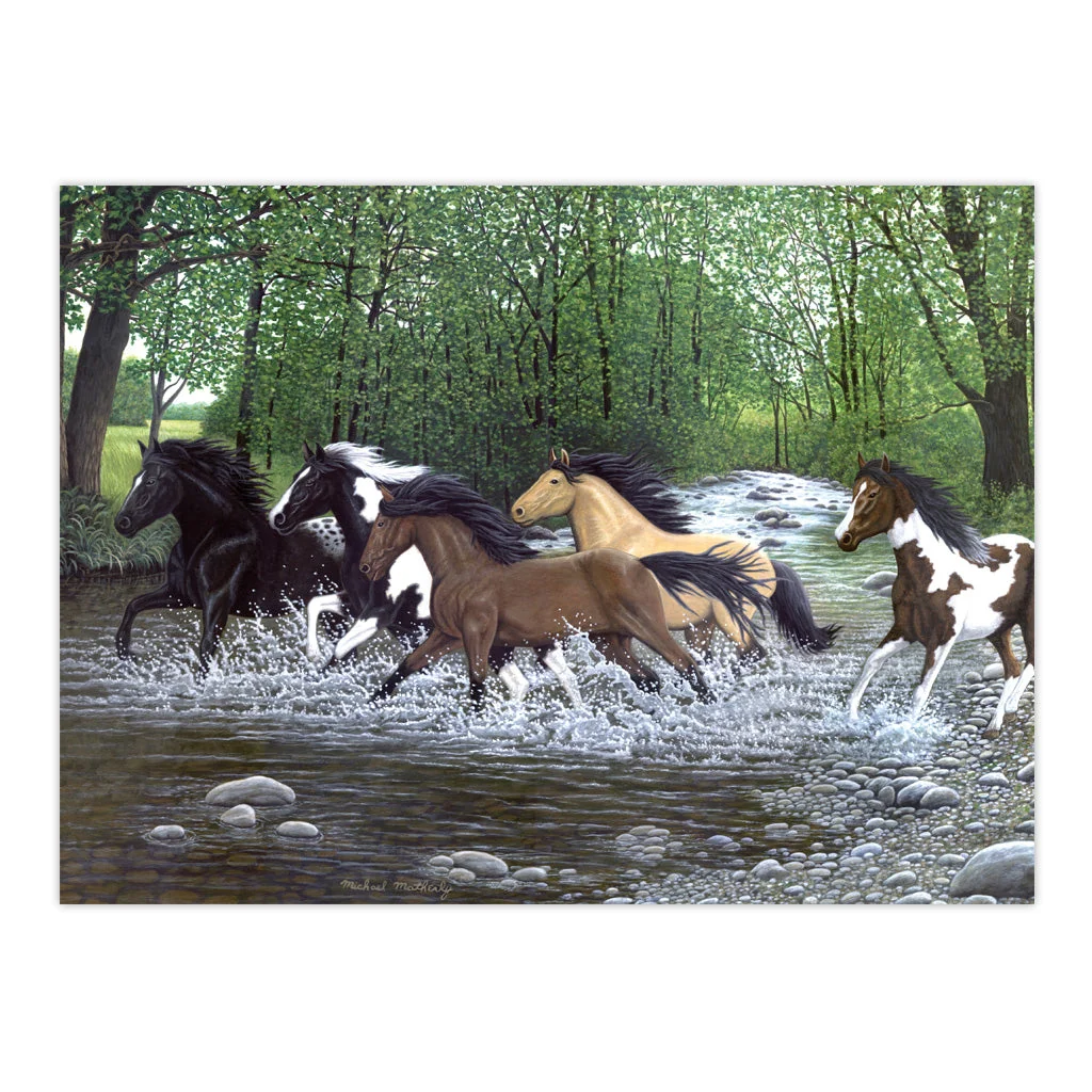 Royal & Langnickel Painting by Numbers Adult Free Spirits - Image 2