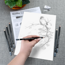 Royal & Langnickel Sketching Made Easy Chickadees with Winter Berries