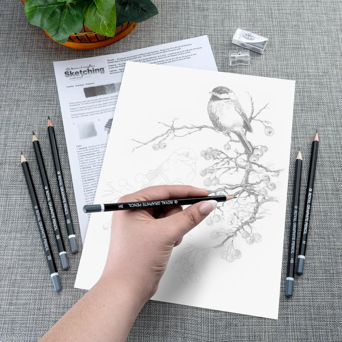 Royal & Langnickel Sketching Made Easy Chickadees with Winter Berries - Image 2