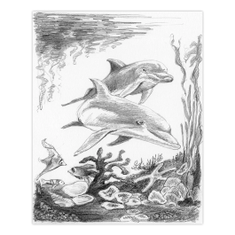 Royal & Langnickel Mini Sketching Made Easy Dolphins