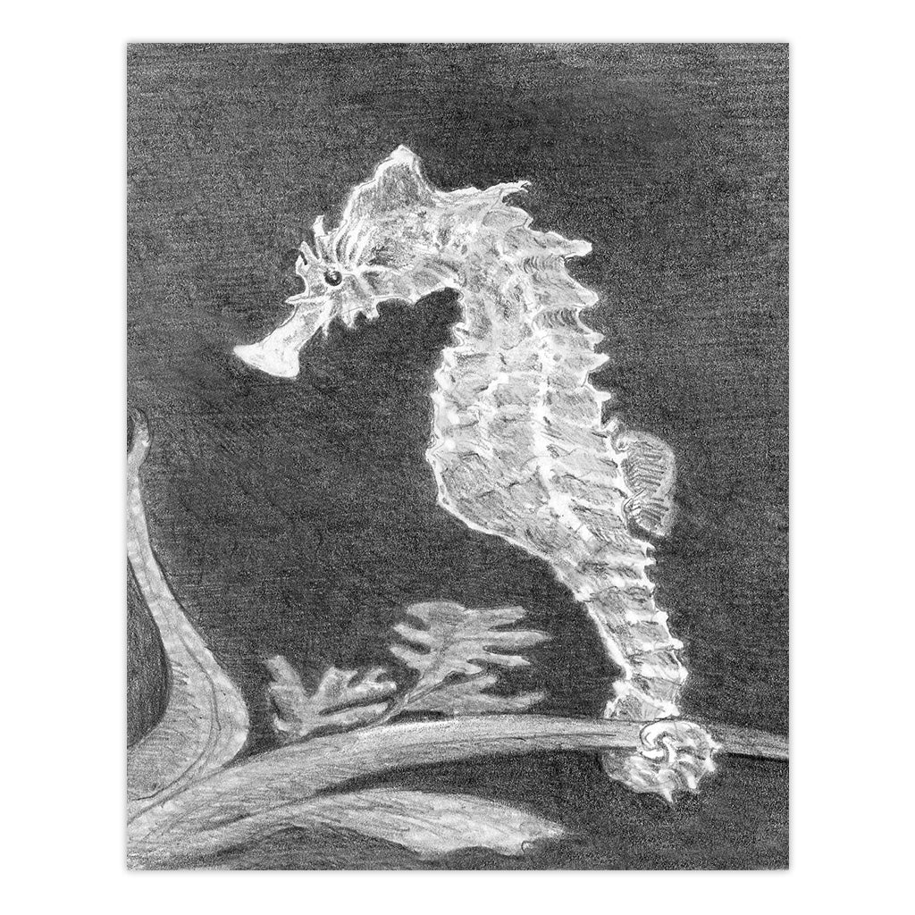 Royal & Langnickel Mini Sketching Made Easy Sea Horse - Image 2